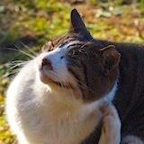 648kao-8.jpg
