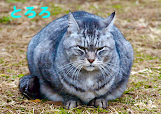 653kao-11.jpeg