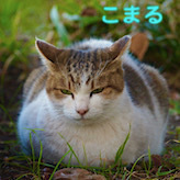 653kao-12.jpeg