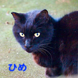 653kao-15.jpeg